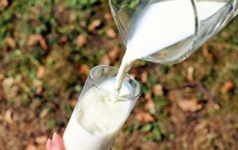 Que se passe-t-il dans votre corps quand vous buvez du lait ?