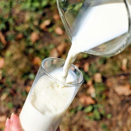 What happens to your body when you drink milk?